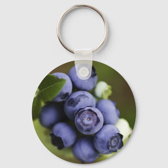 blueberry lover key ring (Front)