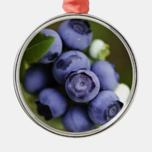 blueberry lover metal tree decoration
