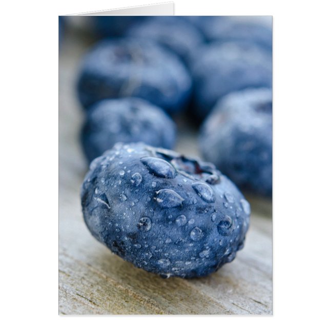 Blueberry Macro (Front)