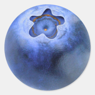 Blueberry macro classic round sticker