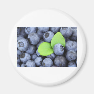 BLUEBERRY MAGNET