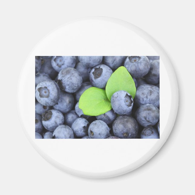 BLUEBERRY MAGNET (Front)