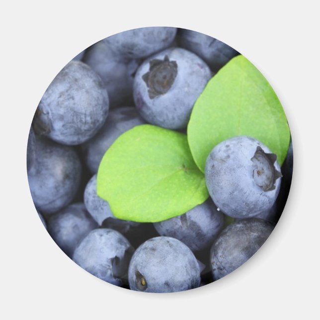 BLUEBERRY MAGNET (Front)