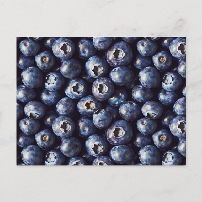 Blueberry Pattern Postcard (Front)