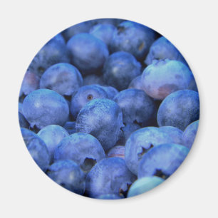 blueberry pile magnet