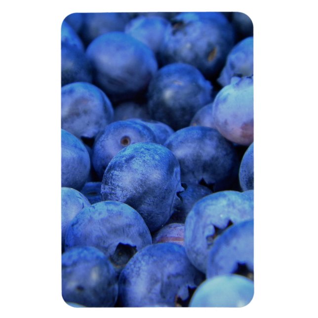 blueberry pile magnet (Vertical)