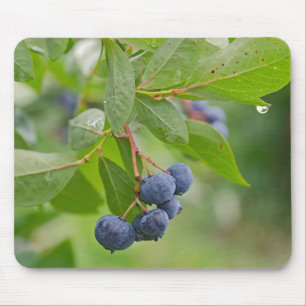 Blueberry Rain Mouse Pad
