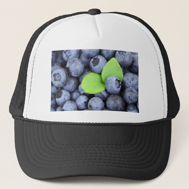 BLUEBERRY TRUCKER HAT (Front)