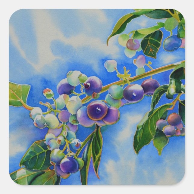 Blueberry watercolor painting square sticker (Front)