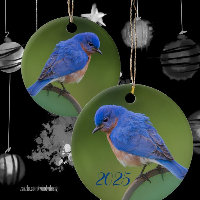 Bluebird 2021 Christmas Ceramic Ornament (Creator Uploaded)