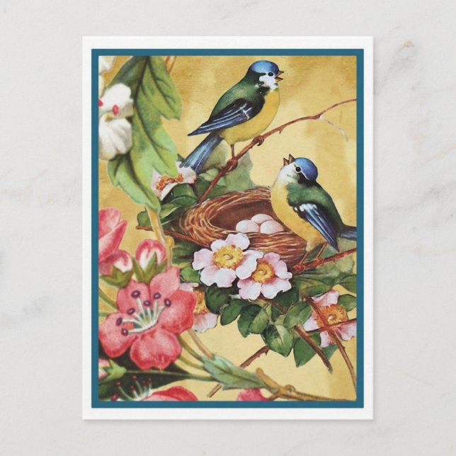 bluebird 7 postcard (Front)