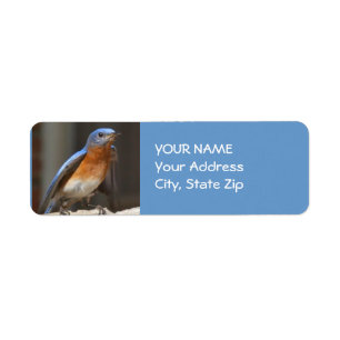 Bluebird Address Label Return Address Label