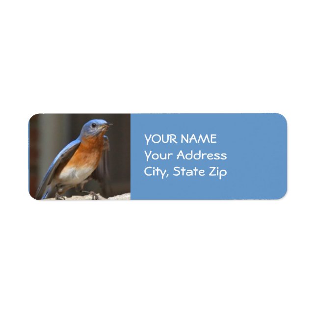 Bluebird Address Label Return Address Label (Front)