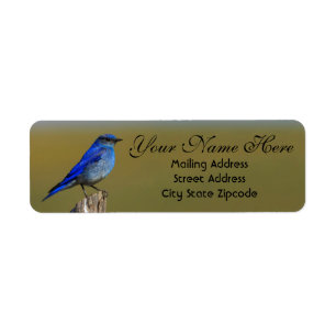 Bluebird Address Return Address Label
