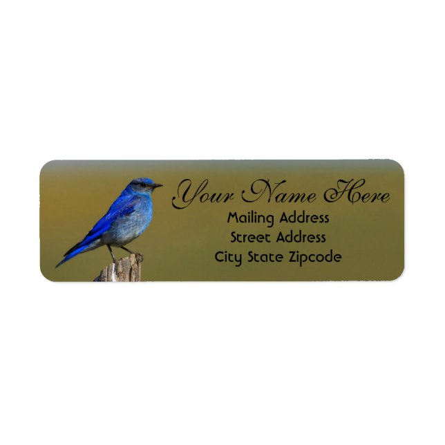 Bluebird Address Return Address Label (Front)