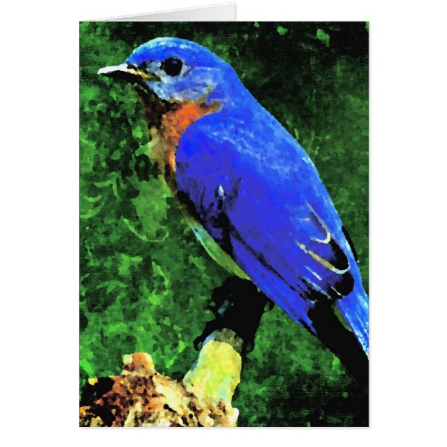 Bluebird All Occasions (Front)