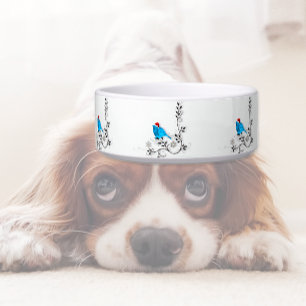 Bluebird at Christmas Bowl