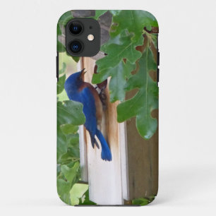Bluebird at Home iPhone 11 Case