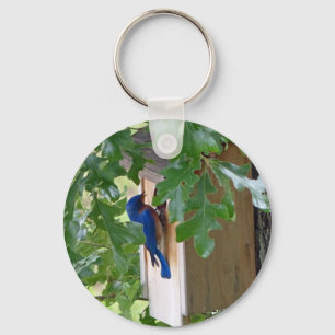 Bluebird at Home Key Ring