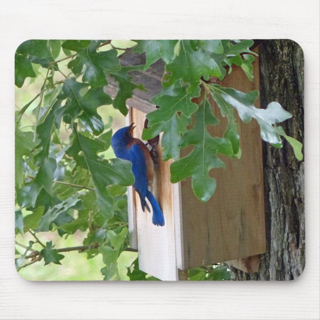 Bluebird at Home Mouse Pad (Front)