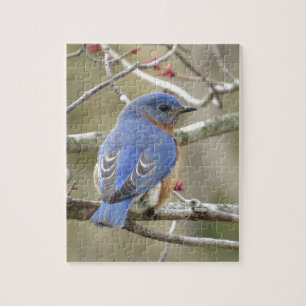 Bluebird Backside Jigsaw Puzzle