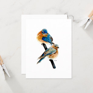 Bluebird Beautiufl Watercolor Note Cards