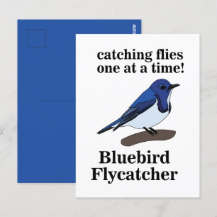 Bluebird Bird Lover Funny Postcard