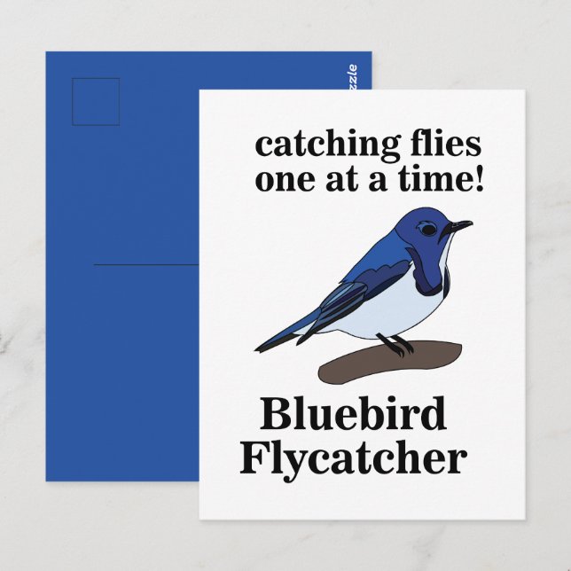 Bluebird Bird Lover Funny Postcard (Front/Back)