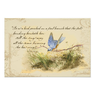 Bluebird Bird on a Branch Victor Hugo Poem Photo Print