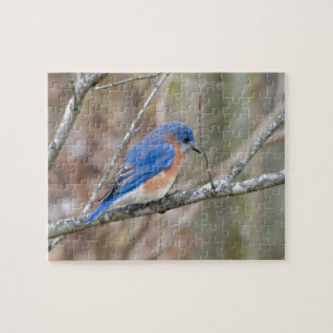 Bluebird Blue Bird in Tree Jigsaw Puzzle