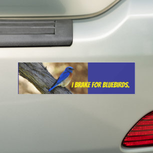 Bluebird bumper sticker