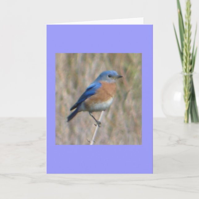 "Bluebird" Card (Front)
