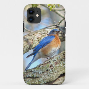 Bluebird iPhone 11 Case