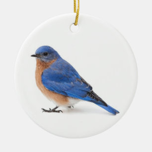 Bluebird Ceramic Ornament