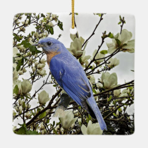 Bluebird Ceramic Ornament