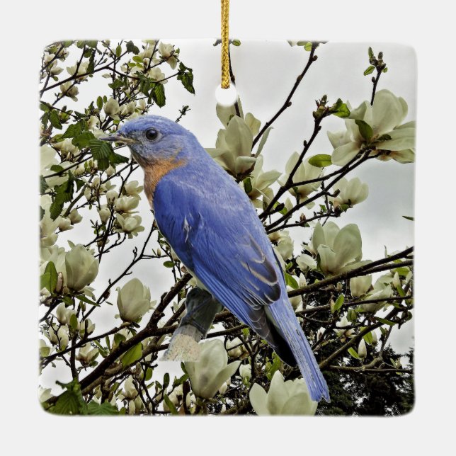 Bluebird Ceramic Ornament (Back)