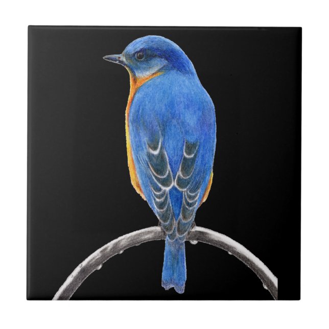 Bluebird Ceramic Tile (Front)