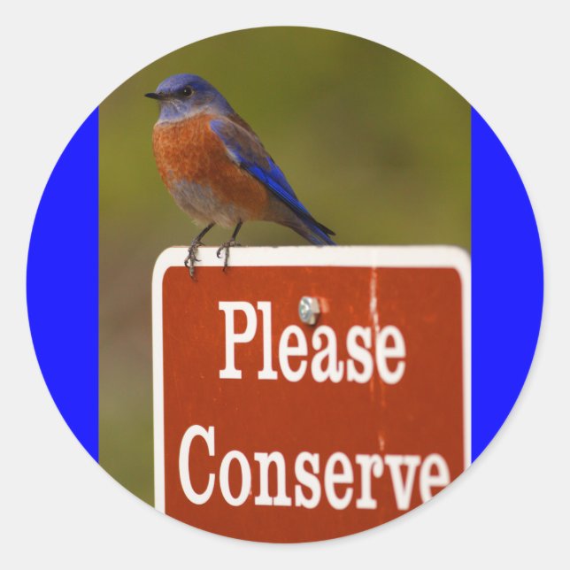 bluebird classic round sticker (Front)