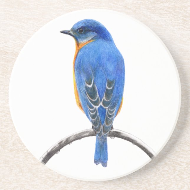 Bluebird Coaster (Front)