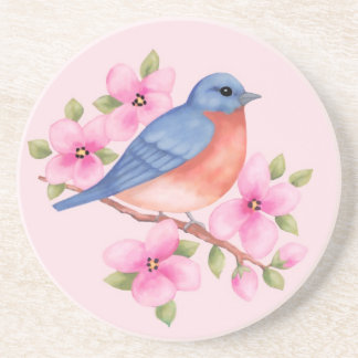 Bluebird Coaster