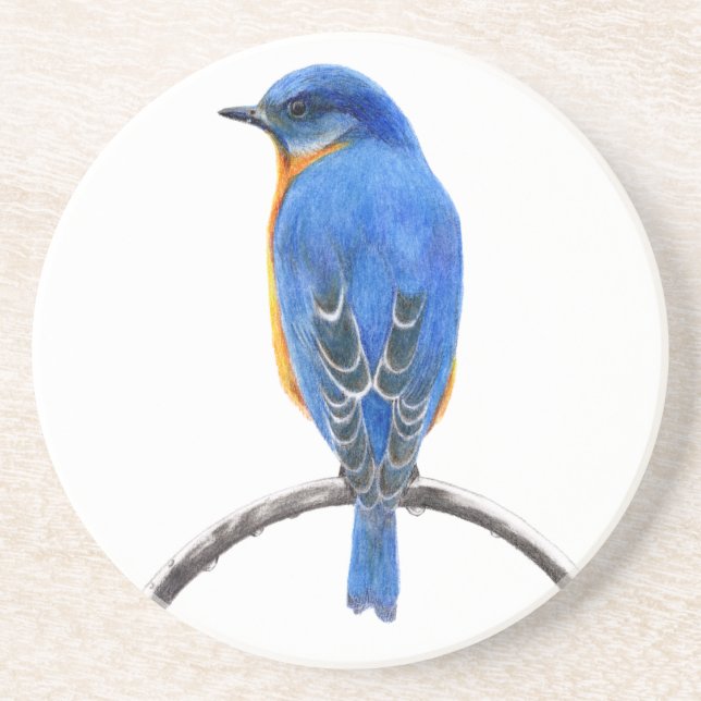 Bluebird Coaster (Front)
