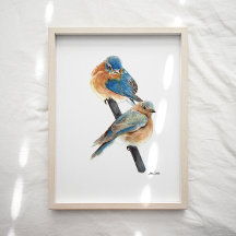 Bluebird Couple Watercolor Art Print