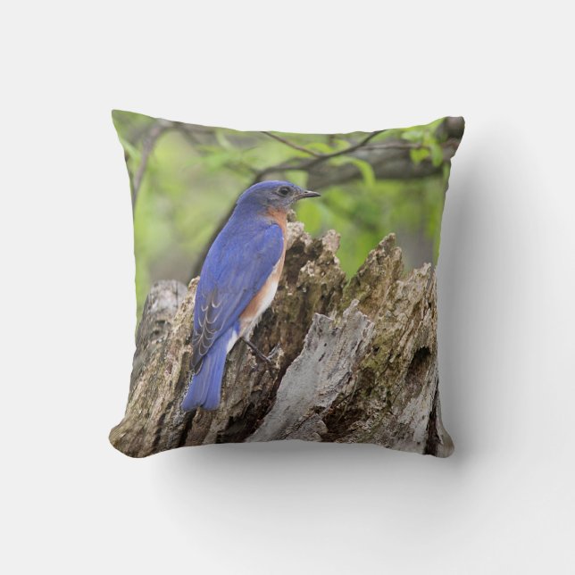 Bluebird Cushion (Front)