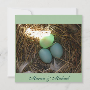 Bluebird Eggs times three