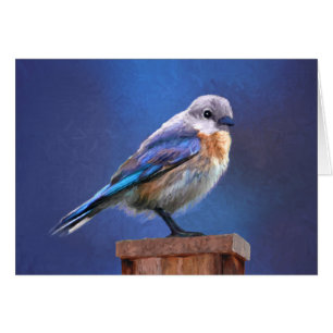 Bluebird (Female) Painting - Original Bird Art