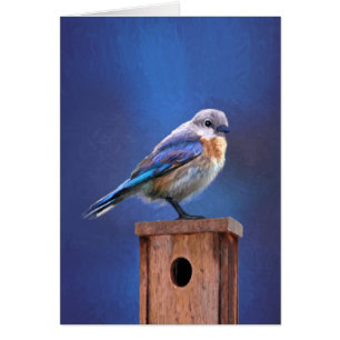 Bluebird (Female) Painting - Original Bird Art