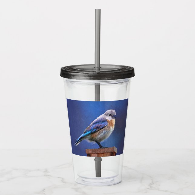Bluebird (Female) Painting - Original Bird Art Acrylic Tumbler (Front)