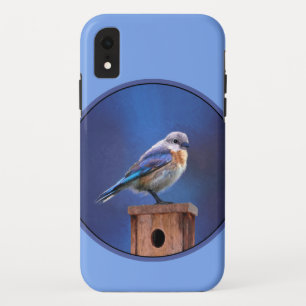 Bluebird (Female) Painting - Original Bird Art iPhone XR Case