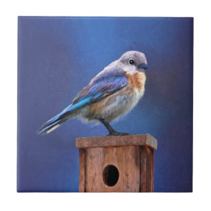 Bluebird (Female) Painting - Original Bird Art Ceramic Tile