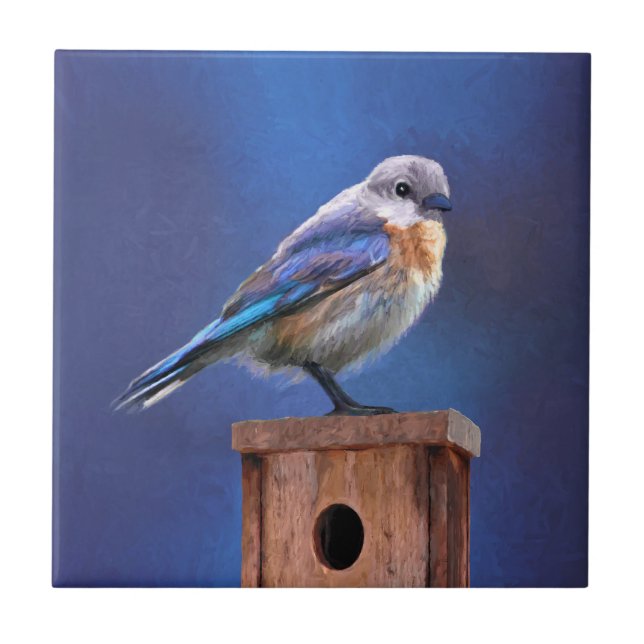 Bluebird (Female) Painting - Original Bird Art Ceramic Tile (Front)